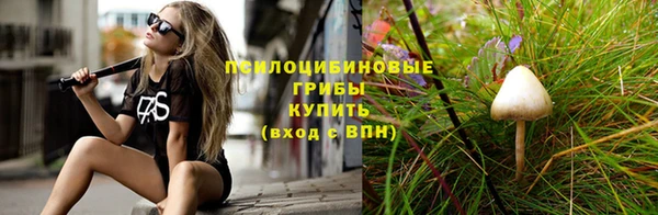 ECSTASY Алексеевка